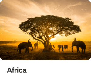 Africa