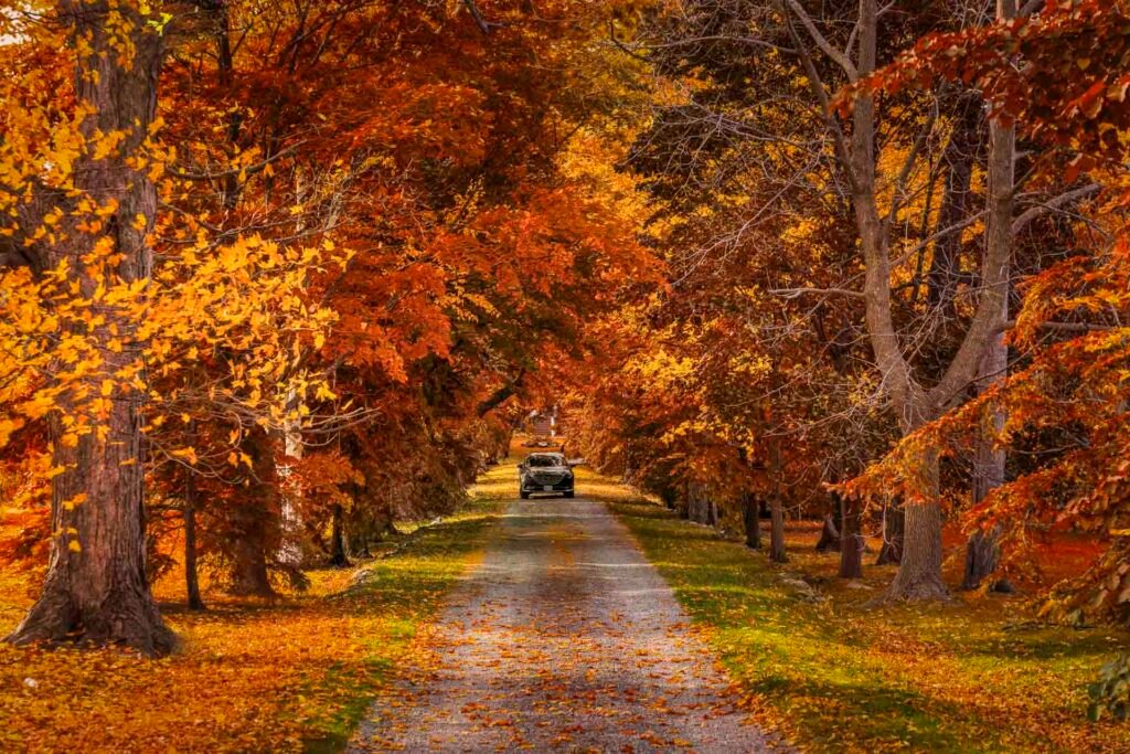 Best Day Trips From Toronto for Best Day Trips From Toronto
