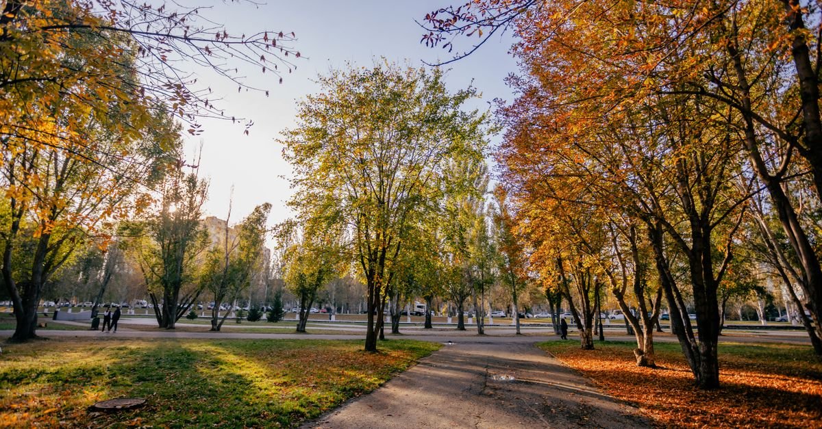 A path through a park with autumn trees